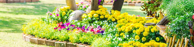 Landscaped flower garden with lots of colorful blooms.